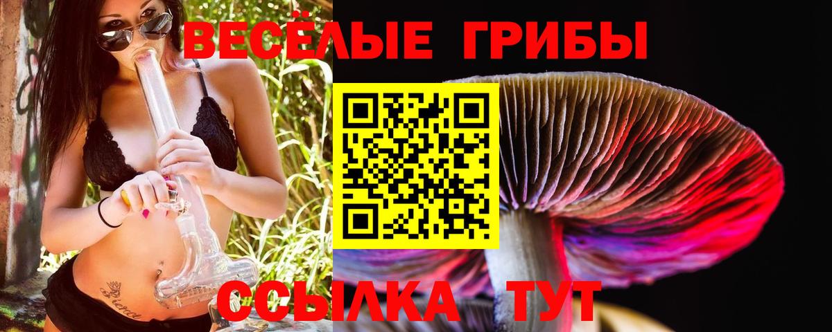 Псилоцибиновые грибы Cubensis Пушкино